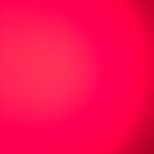 Meet your Posher, Molly